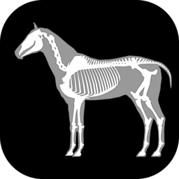 马匹解剖模拟器手机版(3D Horse Anatomy Software)下载v1.2 安卓版