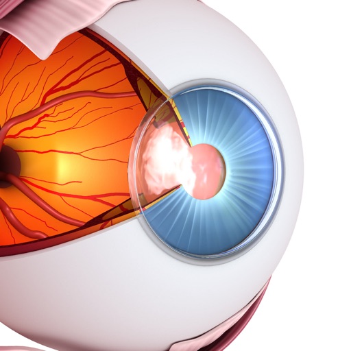 视力训练,眼睛训练,眼保健操- Vision Workout免费苹果版下载