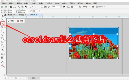 Coreldraw图片裁剪教程_Coreldraw裁剪图片技巧