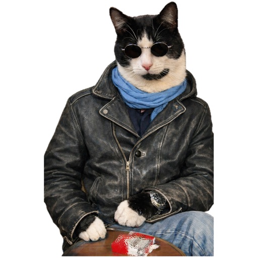 本地AI猫免费苹果版下载官方下载